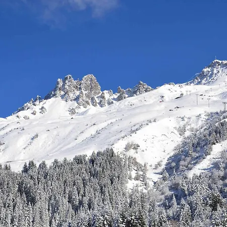 Apartment Fonctionnel, Divisible, Skis Aux Pieds, Balcon, Animaux Acceptes - Les Allues - Fr-1-182-120