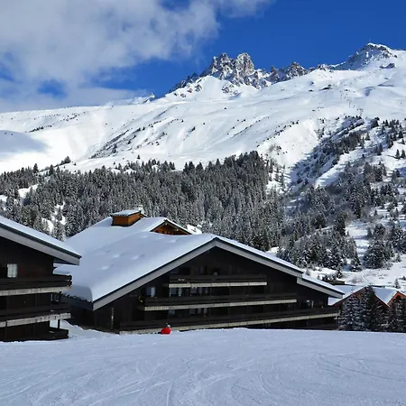 Divisible Fonctionnel, Skis Aux Pieds, Animaux Acceptés - Fr-1-182-120 Appartement *